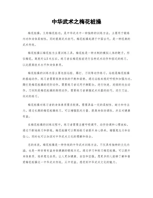 中华武术之梅花桩操