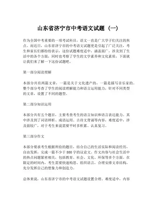 山东省济宁市中考语文试题 (一)