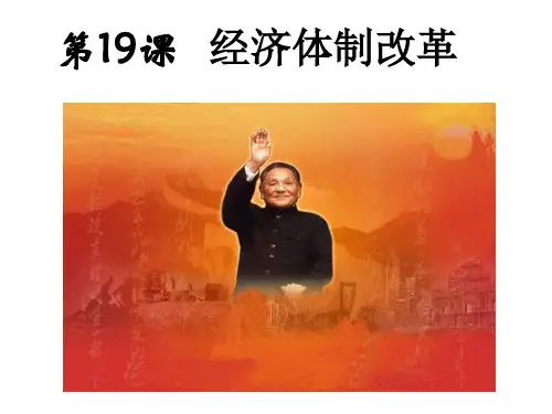 经济体制改革