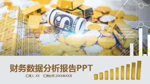 财务数据分析报告PPT