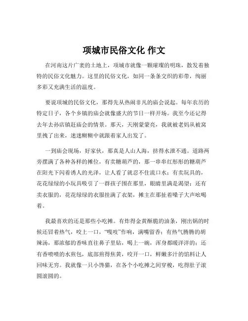 项城市民俗文化 作文