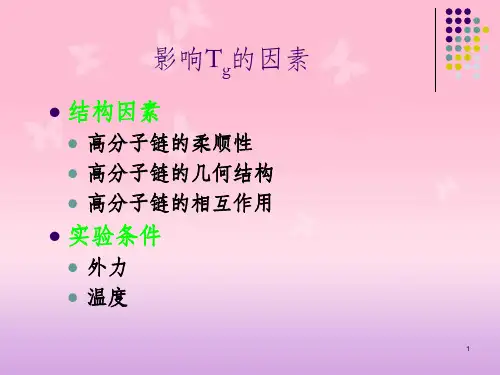 影响Tg的因素