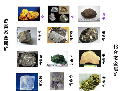 自然资源的开发利用ppt课件