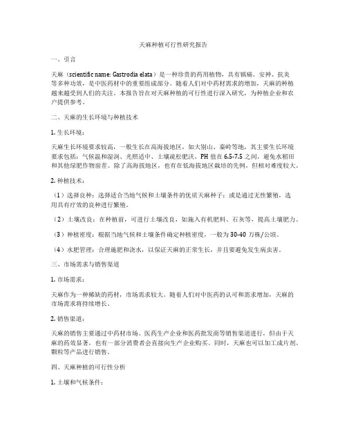 天麻种植可行性研究报告