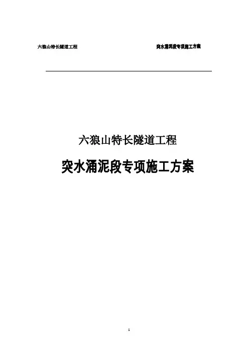 六狼山特长隧道工程突水涌泥段专项施工方案