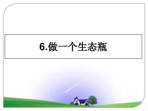最新6.做一个生态瓶ppt课件