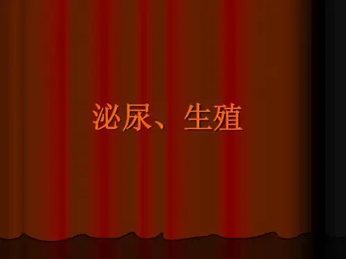 泌尿生殖系统X线诊断