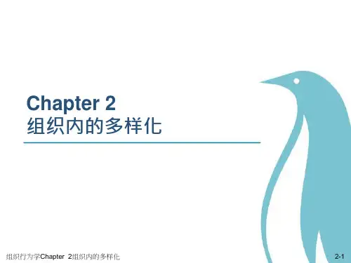 精品课程 《组织行为学》 组织内的多样化