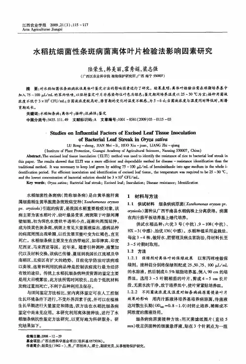 水稻抗细菌性条斑病菌离体叶片检验法影响因素研究