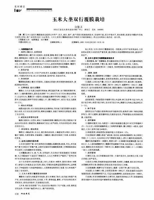 玉米大垄双行覆膜栽培