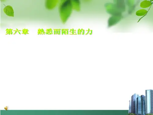 沪科版八年级物理第六章《熟悉而陌生的力》精品PPT课件