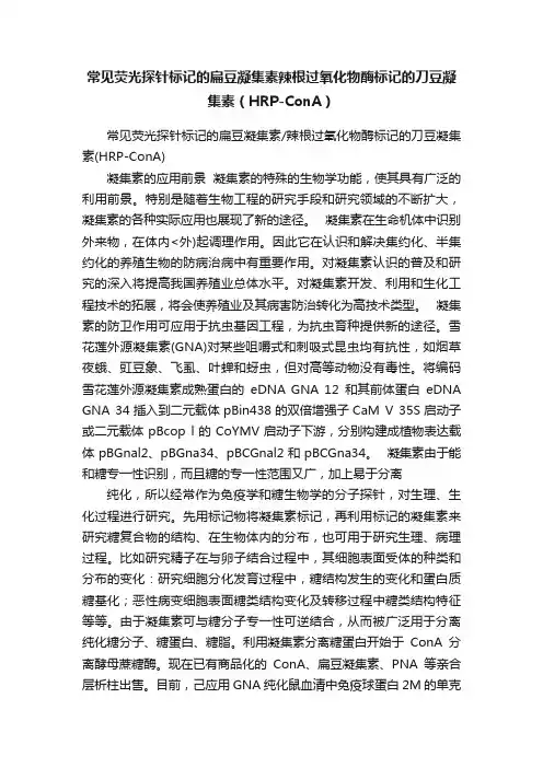 常见荧光探针标记的扁豆凝集素辣根过氧化物酶标记的刀豆凝集素（HRP-ConA）