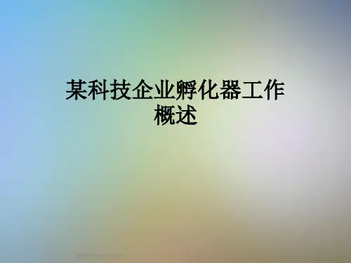 某科技企业孵化器工作概述