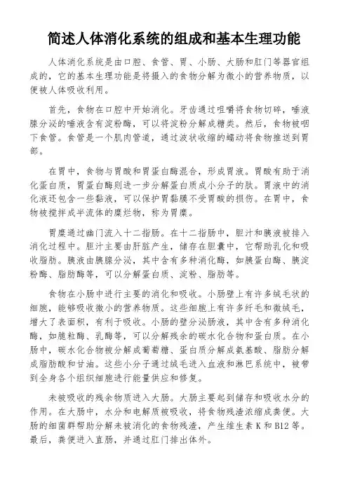 简述人体消化系统的组成和基本生理功能