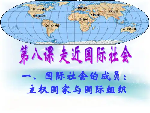 主权国家与国际组织