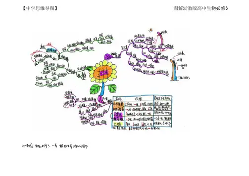 【中学思维导图】图解浙教版高中生物必修3