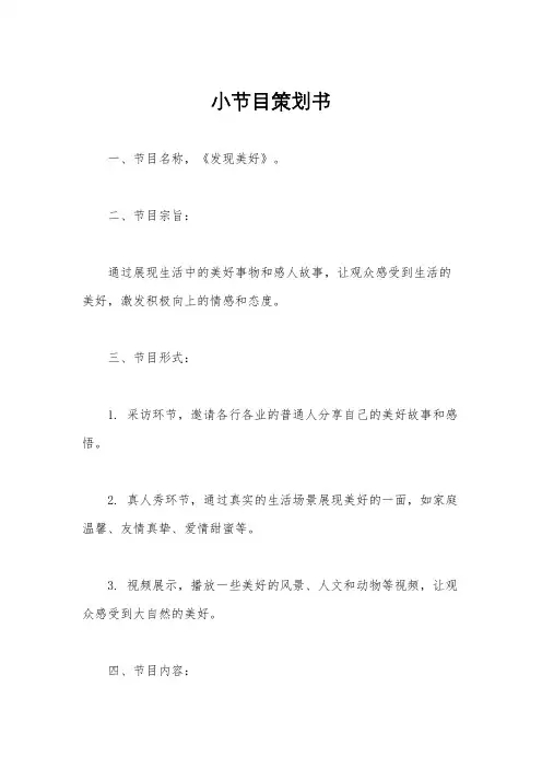 小节目策划书