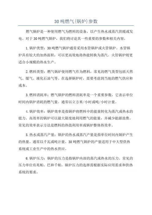 30吨燃气{锅炉}参数