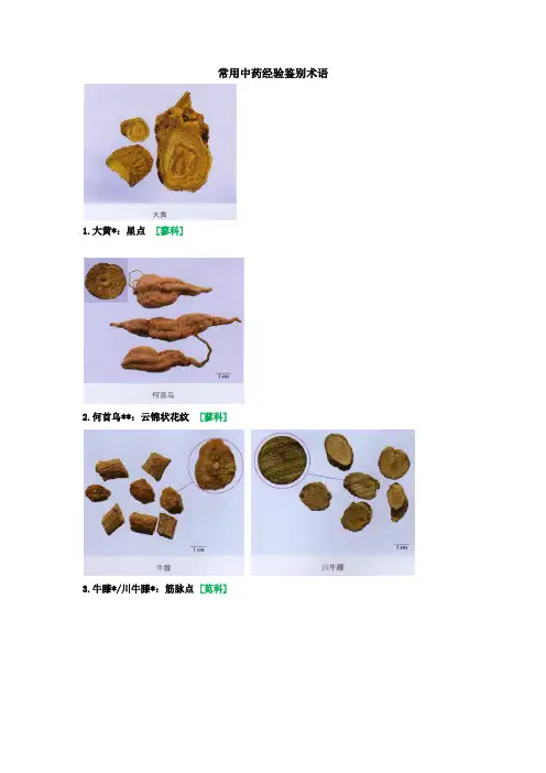 常用中药经验鉴别术语(附图鉴)