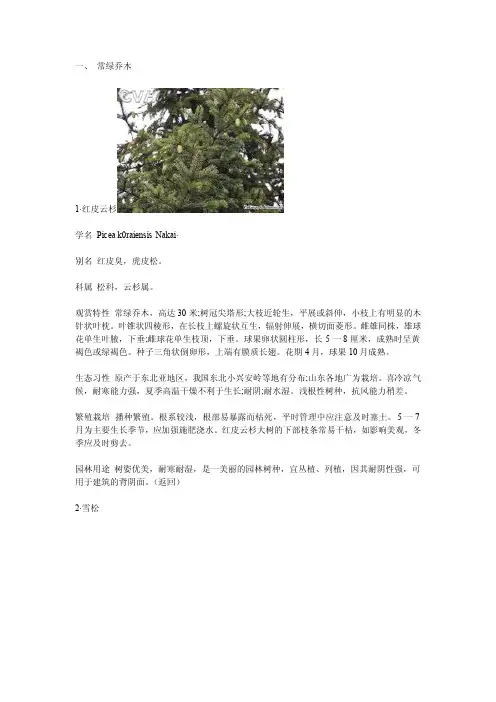常见绿化树木