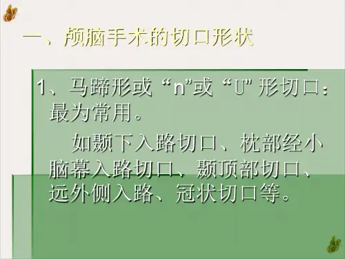 神经外科手术入路与体位课件PPT