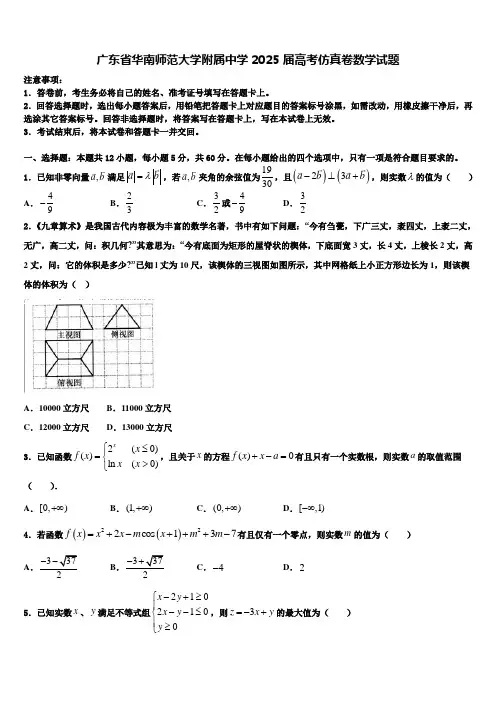 广东省华南师范大学附属中学2025届高考仿真卷数学试题含解析