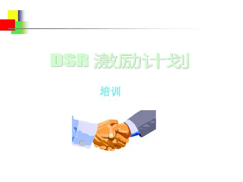 联合利华DSR激励计划