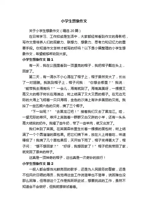关于小学生想象作文（精选20篇）