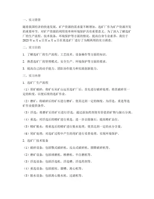 选矿厂实习调查报告