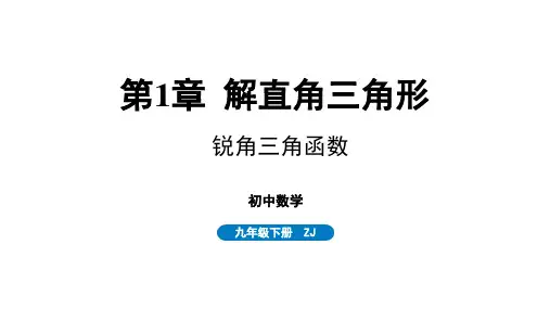 1.1锐角三角函数课件浙教版数学九年级下册