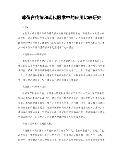 薄荷在传统和现代医学中的应用比较研究