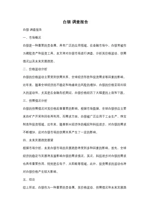 白银 调查报告