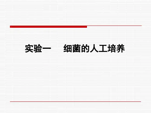 2-5动物微生物--细菌的人工培养(实验一)