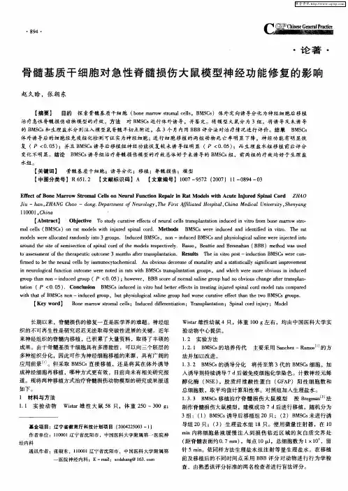 骨髓基质干细胞对急性脊髓损伤大鼠模型神经功能修复的影响