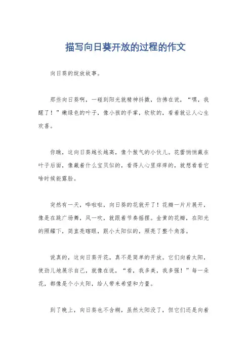 描写向日葵开放的过程的作文