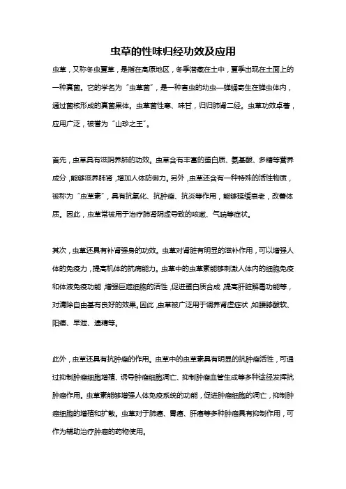 虫草的性味归经功效及应用