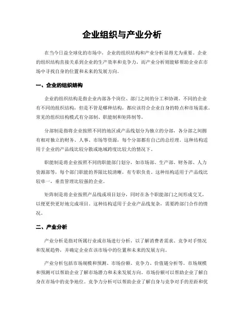 企业组织与产业分析