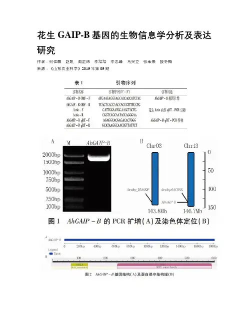 花生GAIP-B基因的生物信息学分析及表达研究