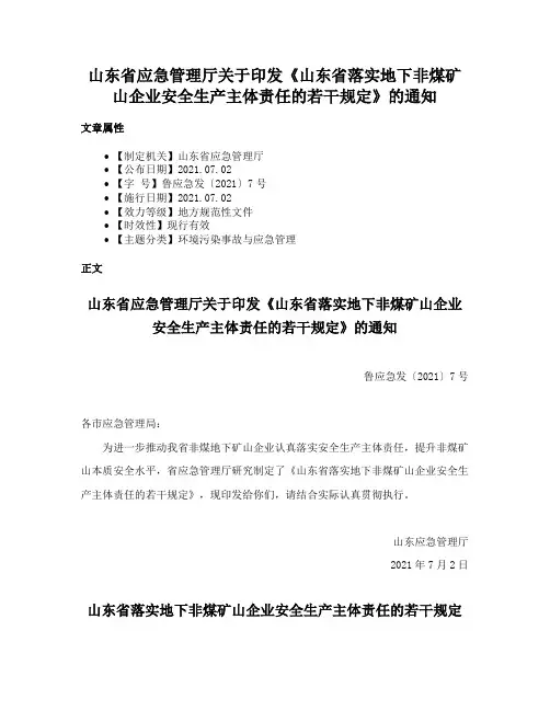 山东省应急管理厅关于印发《山东省落实地下非煤矿山企业安全生产主体责任的若干规定》的通知