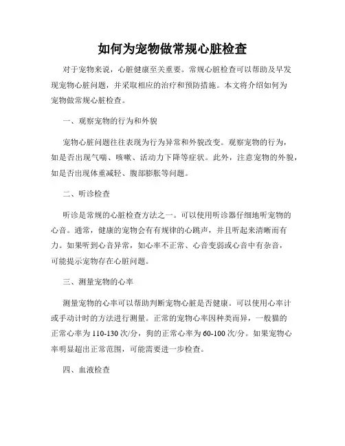 如何为宠物做常规心脏检查