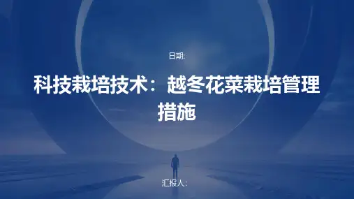 科技栽培技术：越冬花菜栽培管理措施