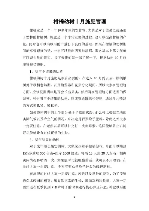 柑橘幼树十月施肥管理