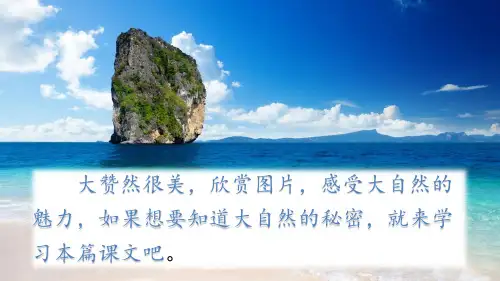 (赛课课件)六年级下册语文《大自然的秘密》(共50张PPT)