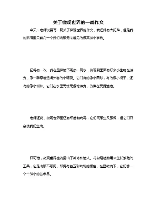 关于微观世界的一篇作文