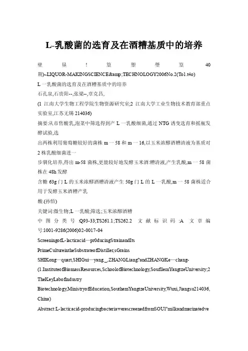 L-乳酸菌的选育及在酒糟基质中的培养