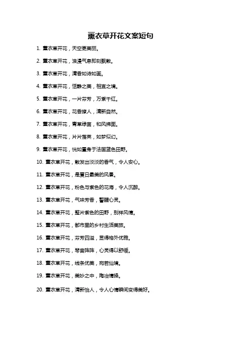 薰衣草开花文案短句
