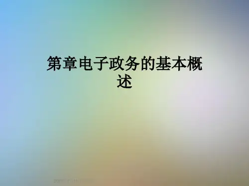 第章电子政务的基本概述