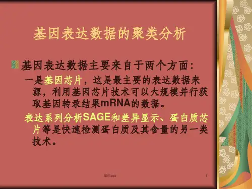 课生物信息学的基因聚类分析