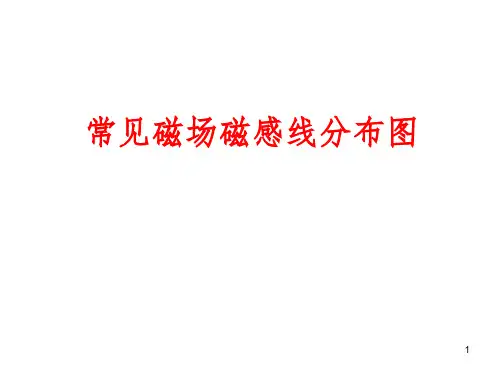 常见磁场磁感线分布图-文档资料