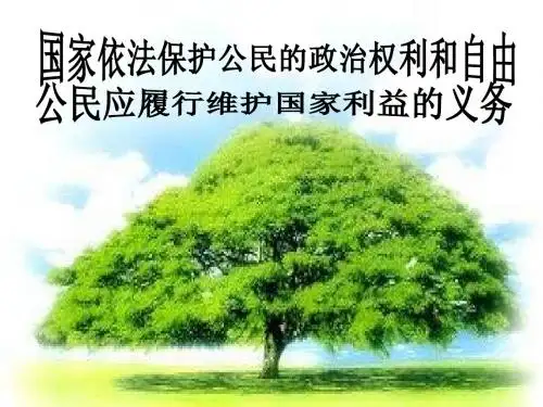 高三政治 国家依法保护公民的政治权利和自由 ppt